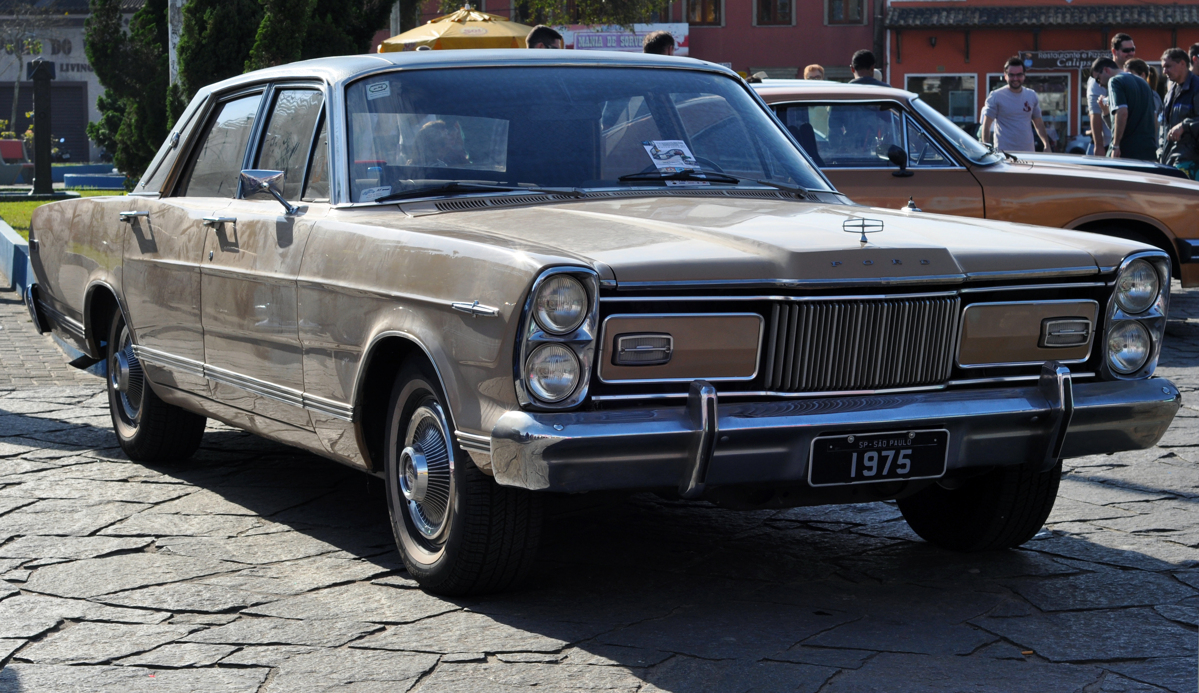 Ford LTD 1975 #4