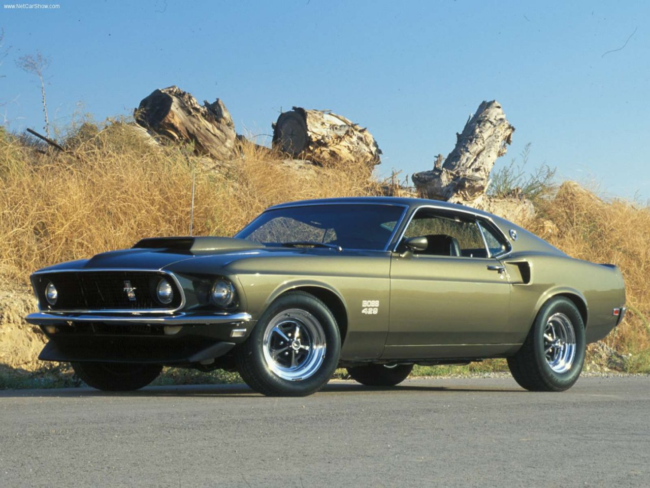 Ford Mustang 1970 #7