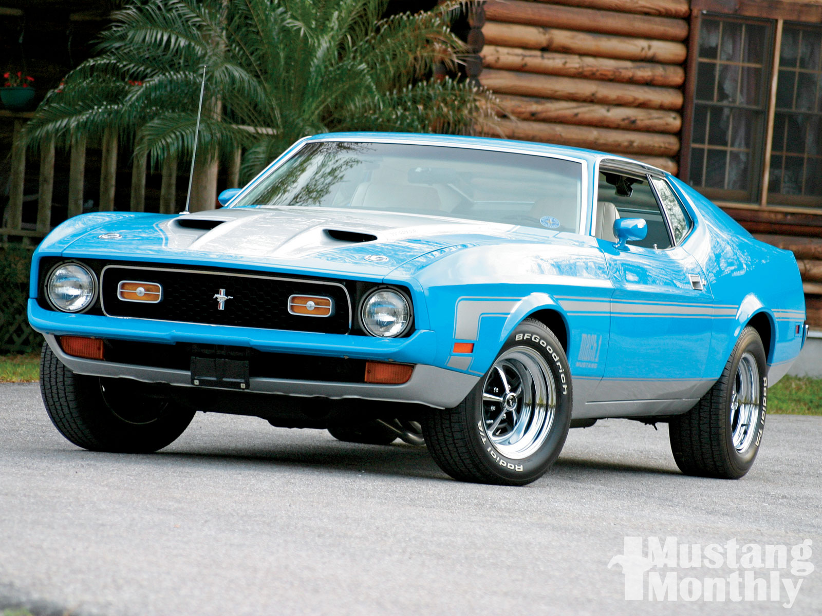 Ford Mustang 1971 #13