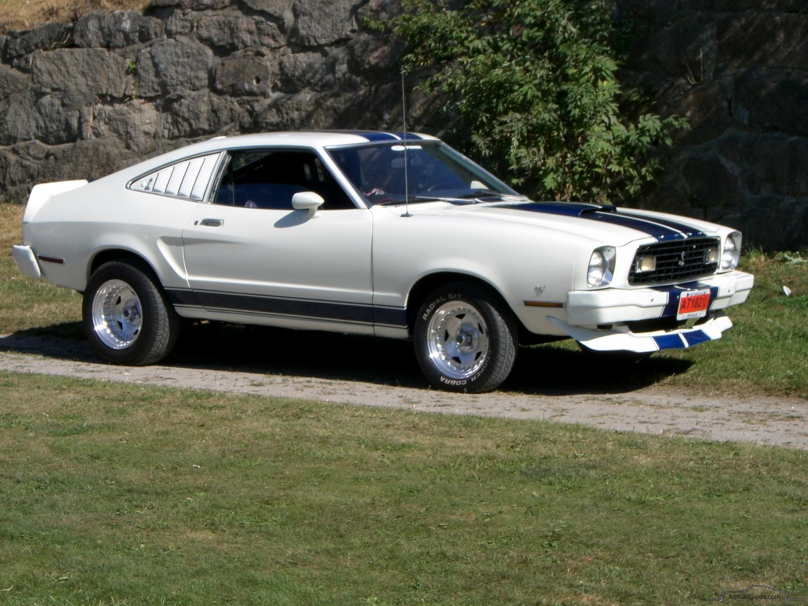 Ford Mustang 1974 #5