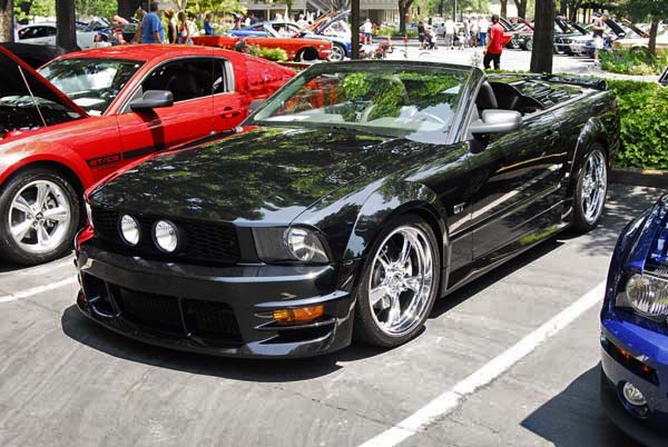 Ford Mustang 2006 #12