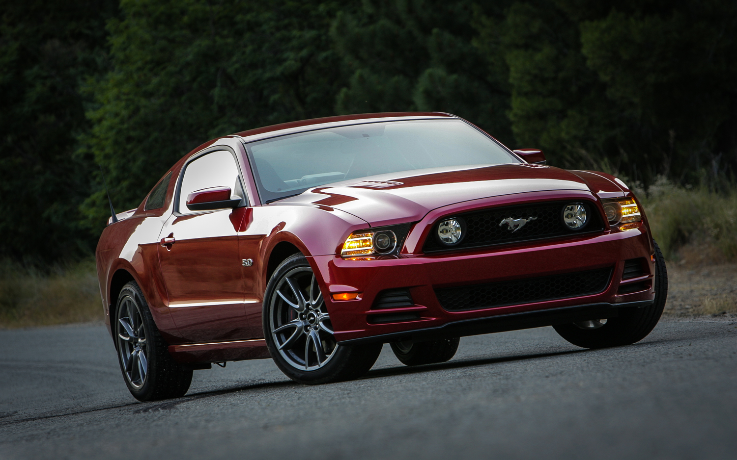 Ford Mustang 2013 #11