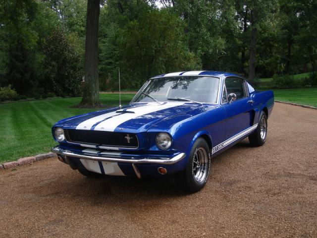 Ford Mustang Shelby GT 1965 #5