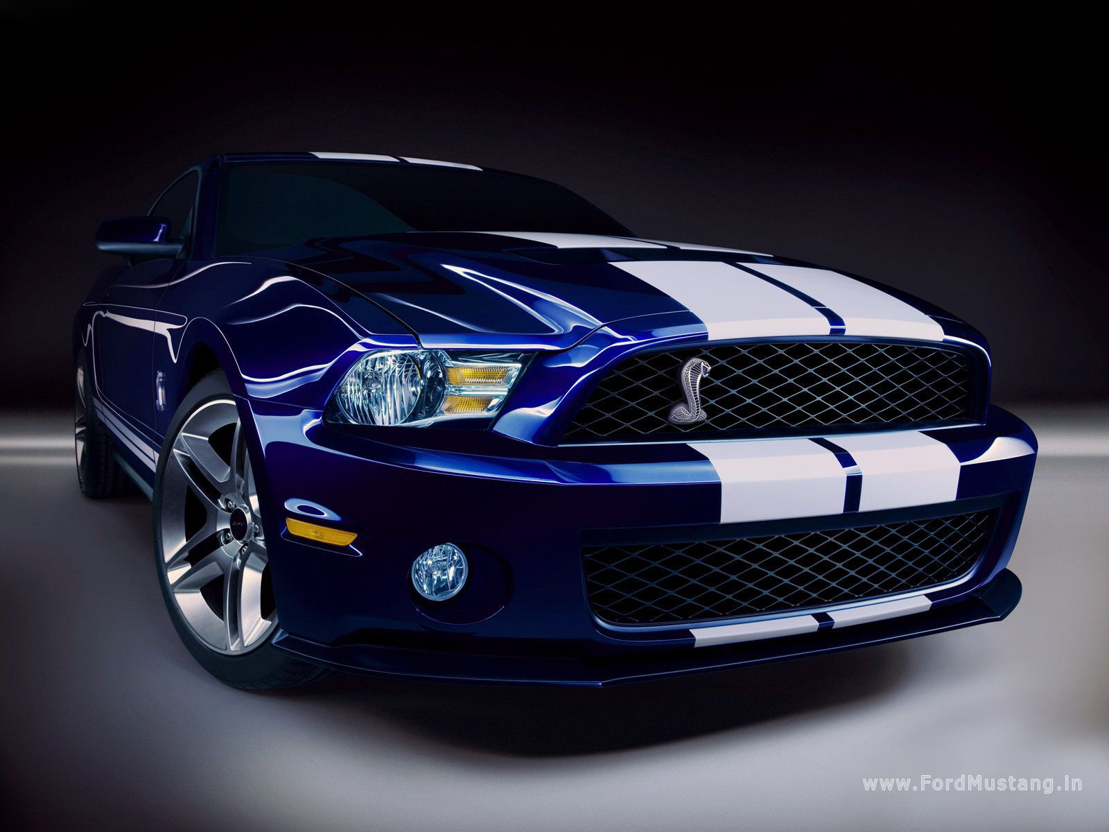 Ford Mustang Shelby GT #6
