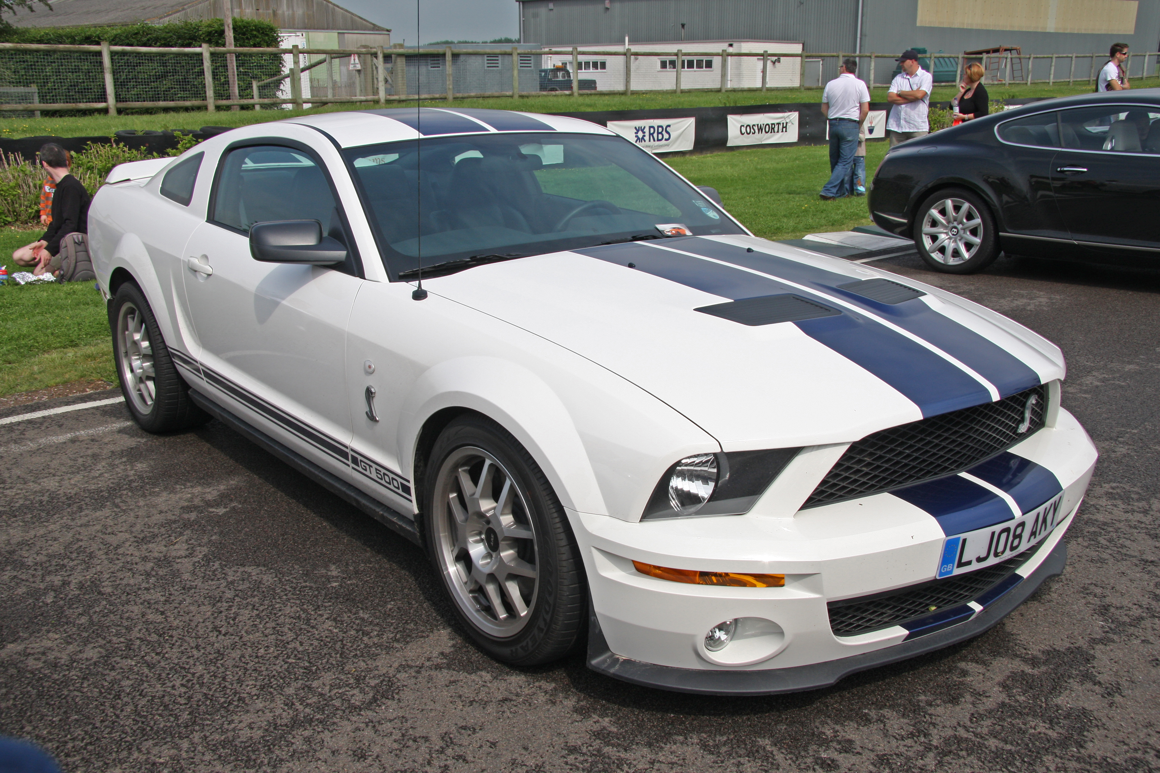 Ford Mustang Shelby GT #9