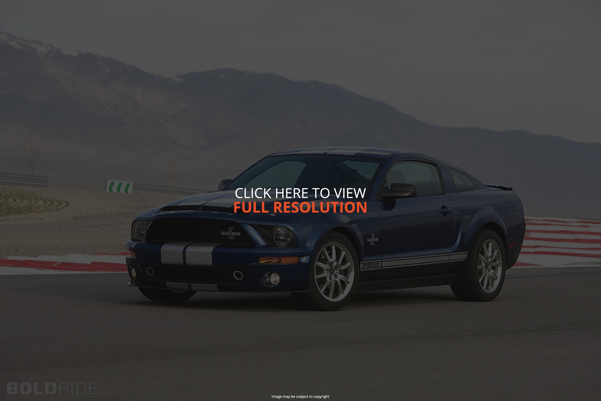Ford Shelby GT500 2008 #6