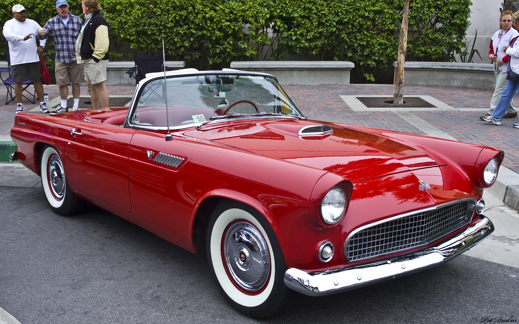 Ford Thunderbird 1955 #1