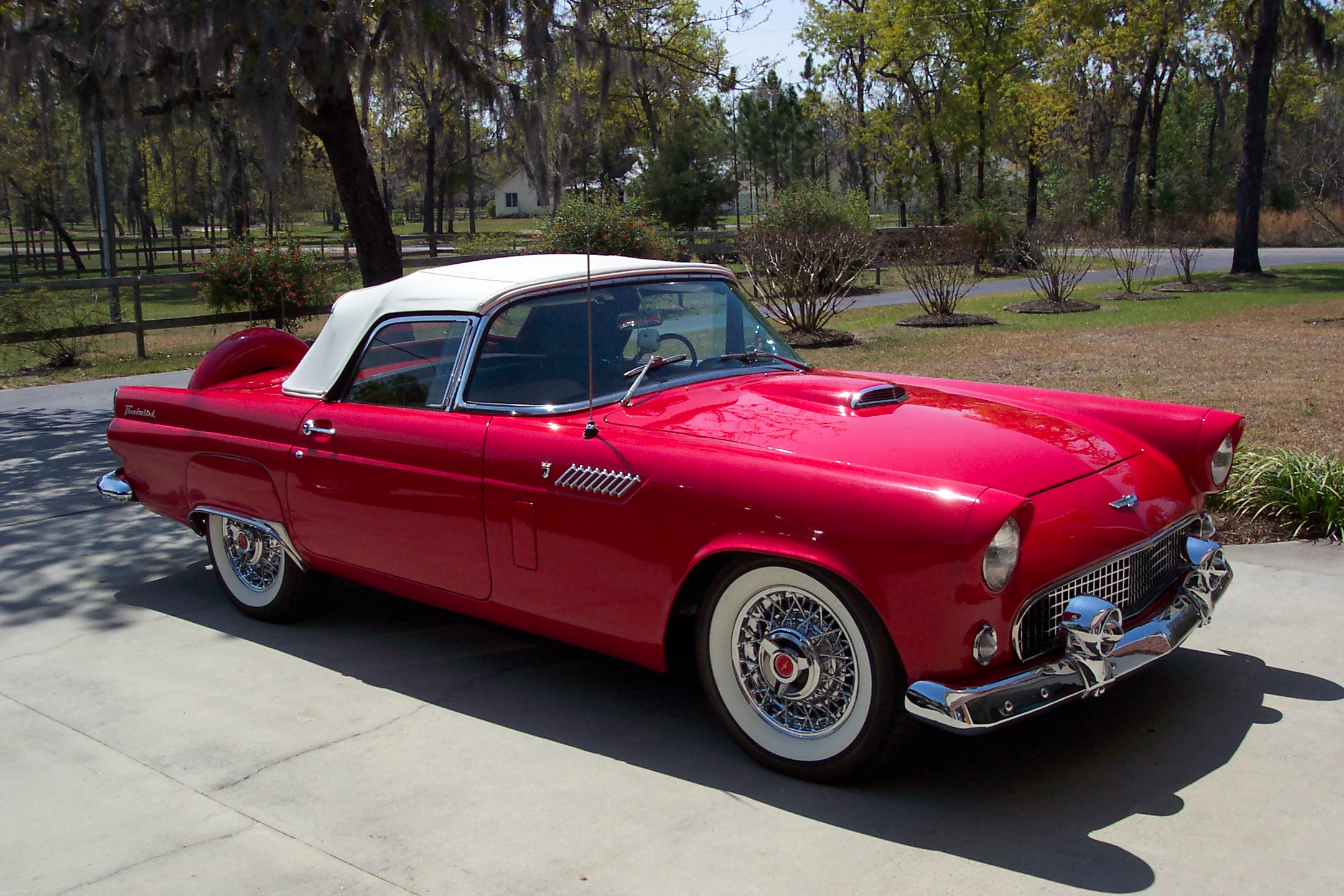 Ford Thunderbird 1956 #4