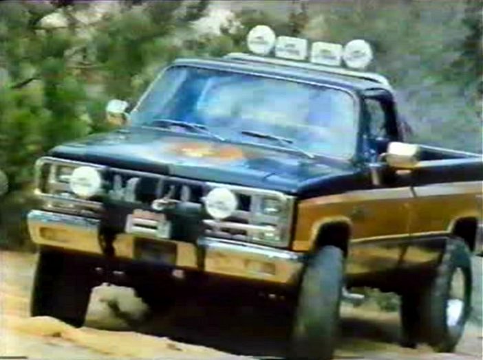 GMC Pickup 1981 #9
