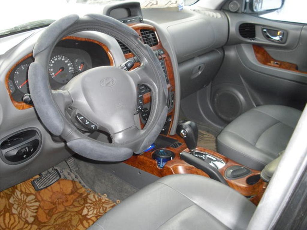 Hyundai Santa Fe 2003 #4