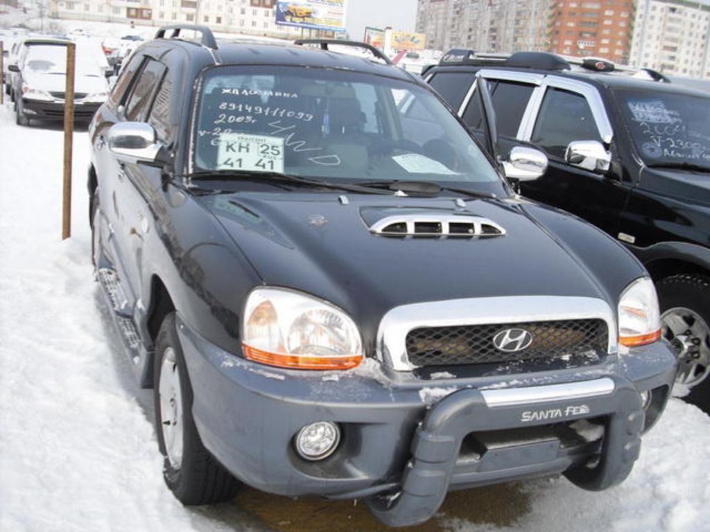 Hyundai Santa Fe 2003 #10