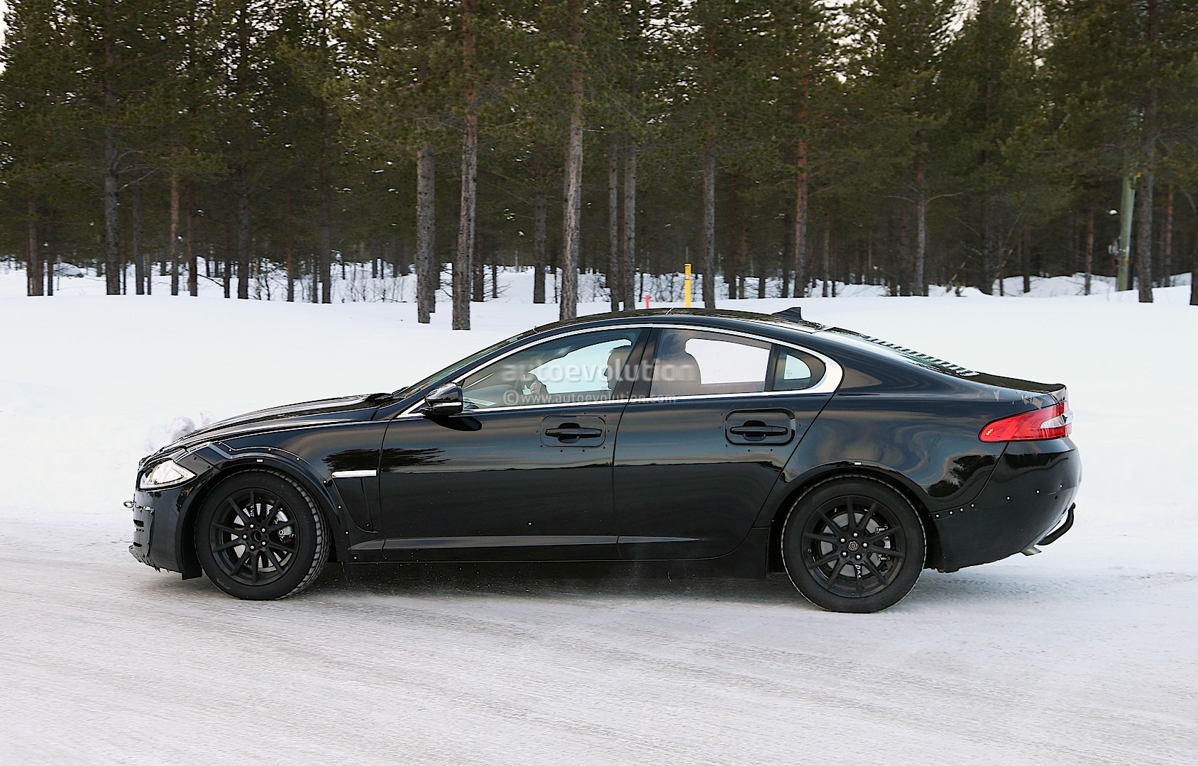 Jaguar XS #6