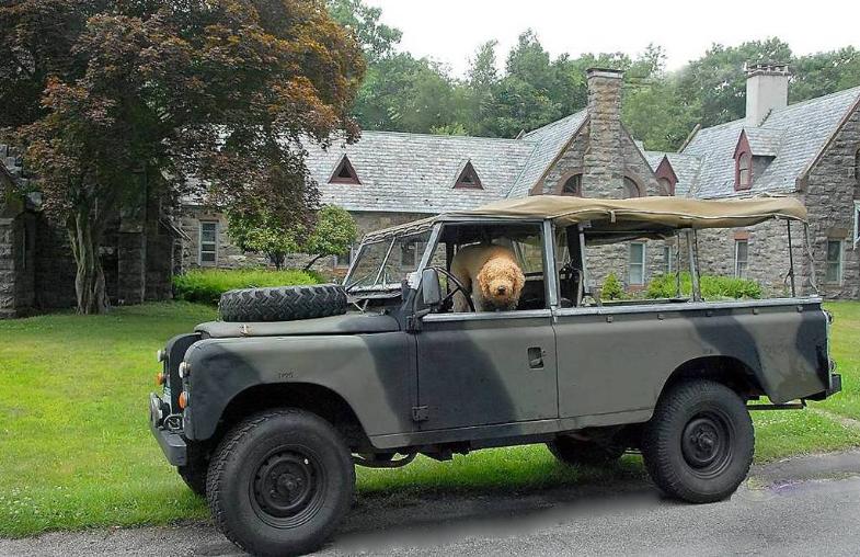 Land Rover Series II 1967 #10