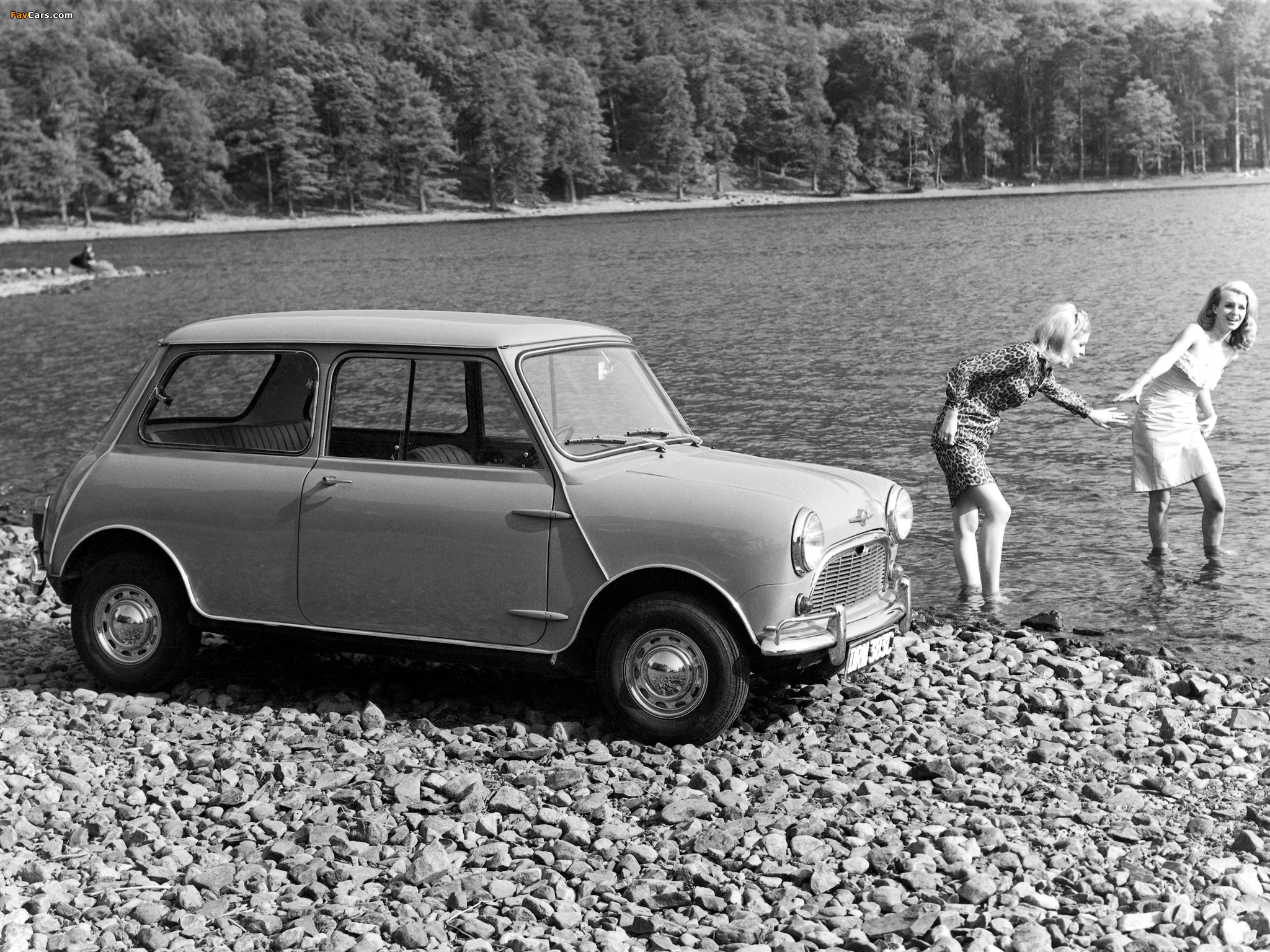 Morris Mini 1959 #14