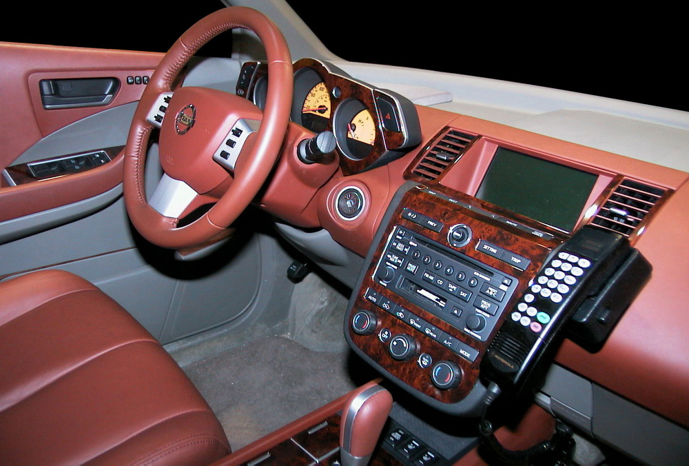 Nissan Murano 2003 #12