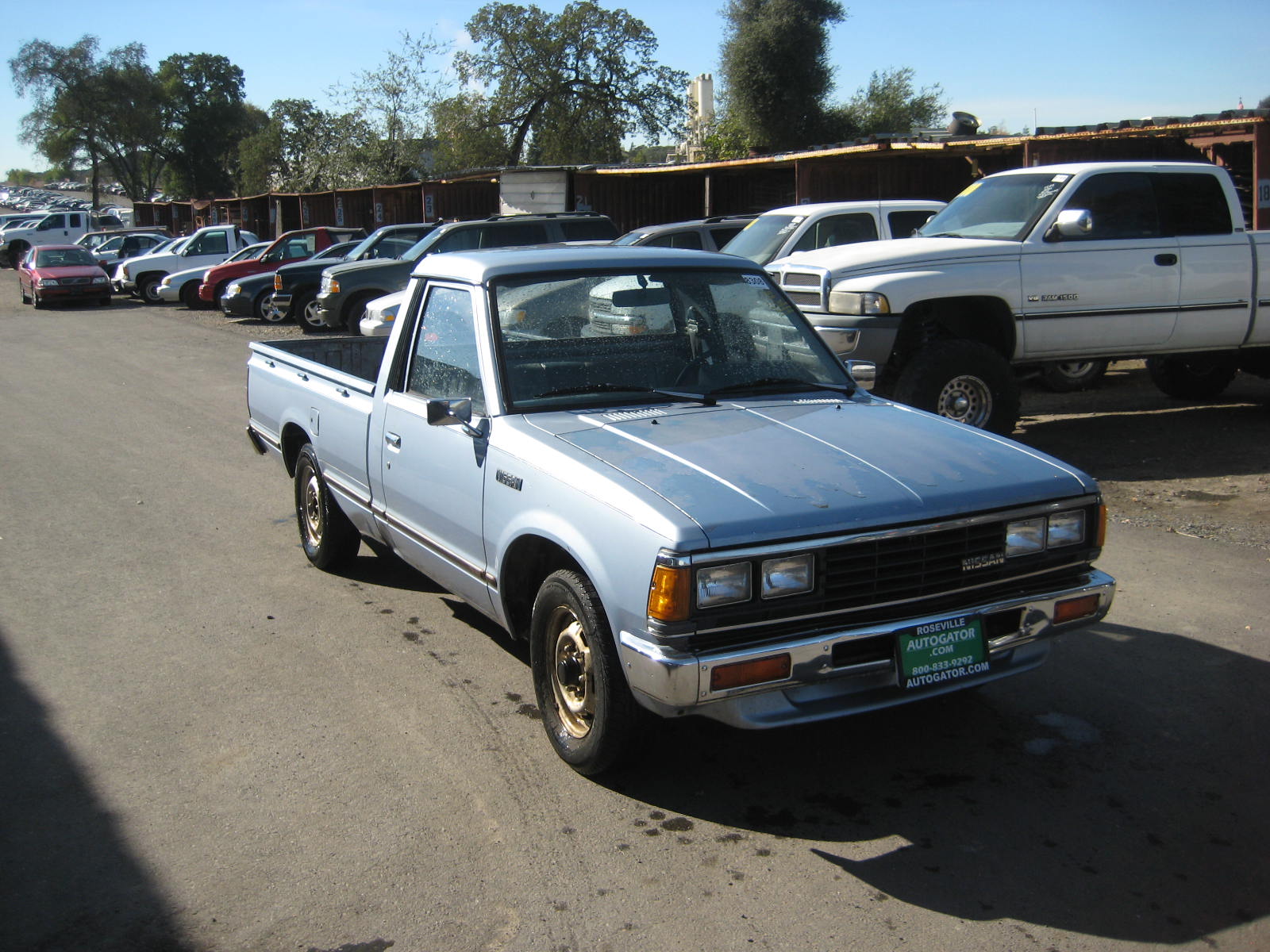 Nissan Pickup 1984 #6
