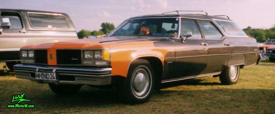 Oldsmobile Cruiser 1976 #15