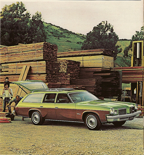Oldsmobile Vista Cruiser 1974 #1