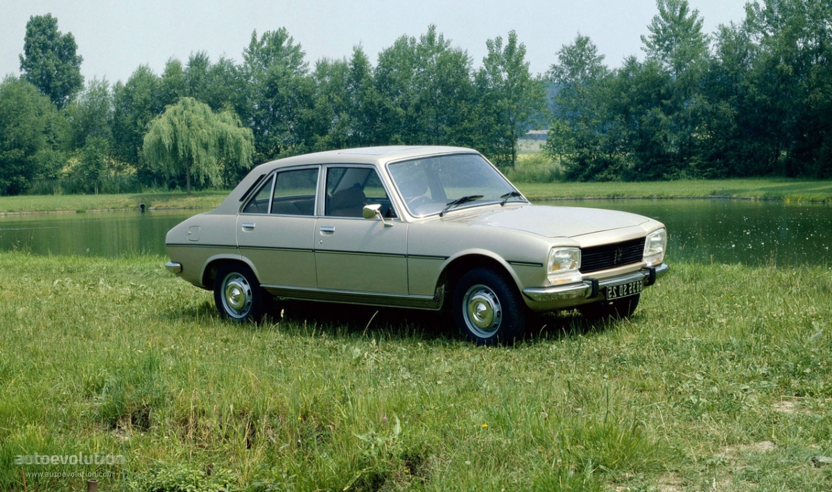 Peugeot 504 1981 #4