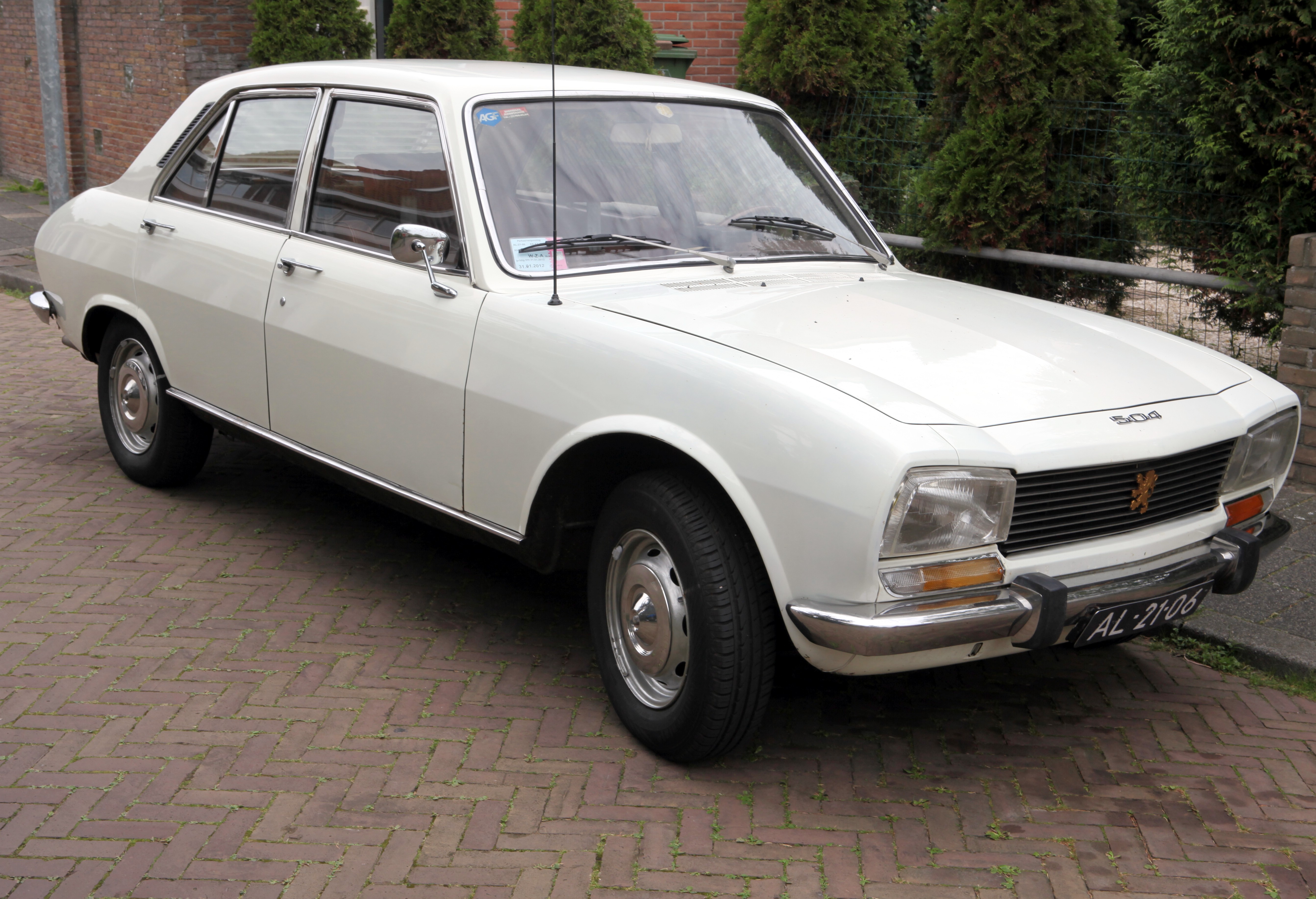 Peugeot 504 1982 #10