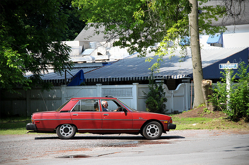 Peugeot 604 1984 #13