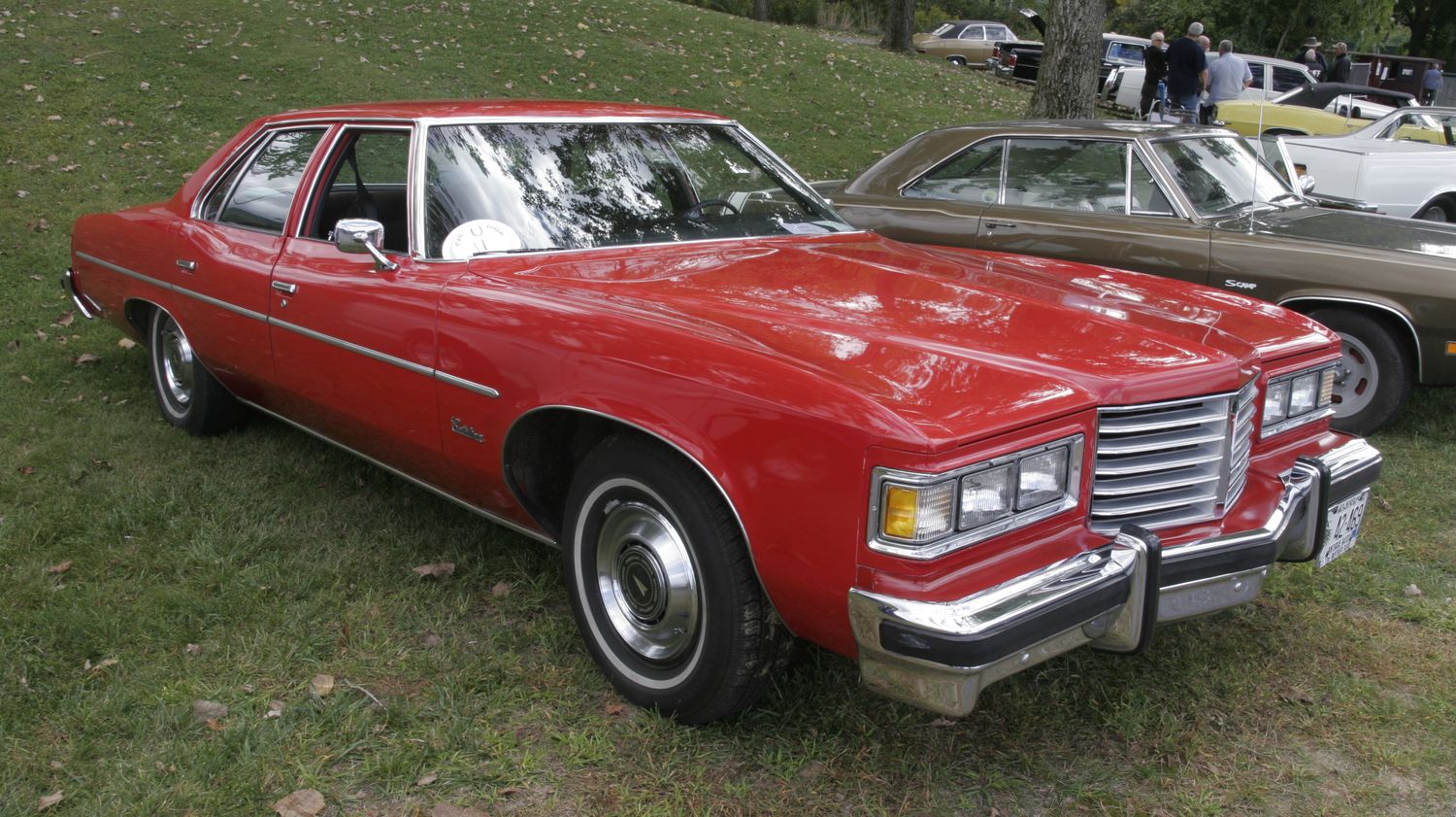 Pontiac Catalina 1976 #3