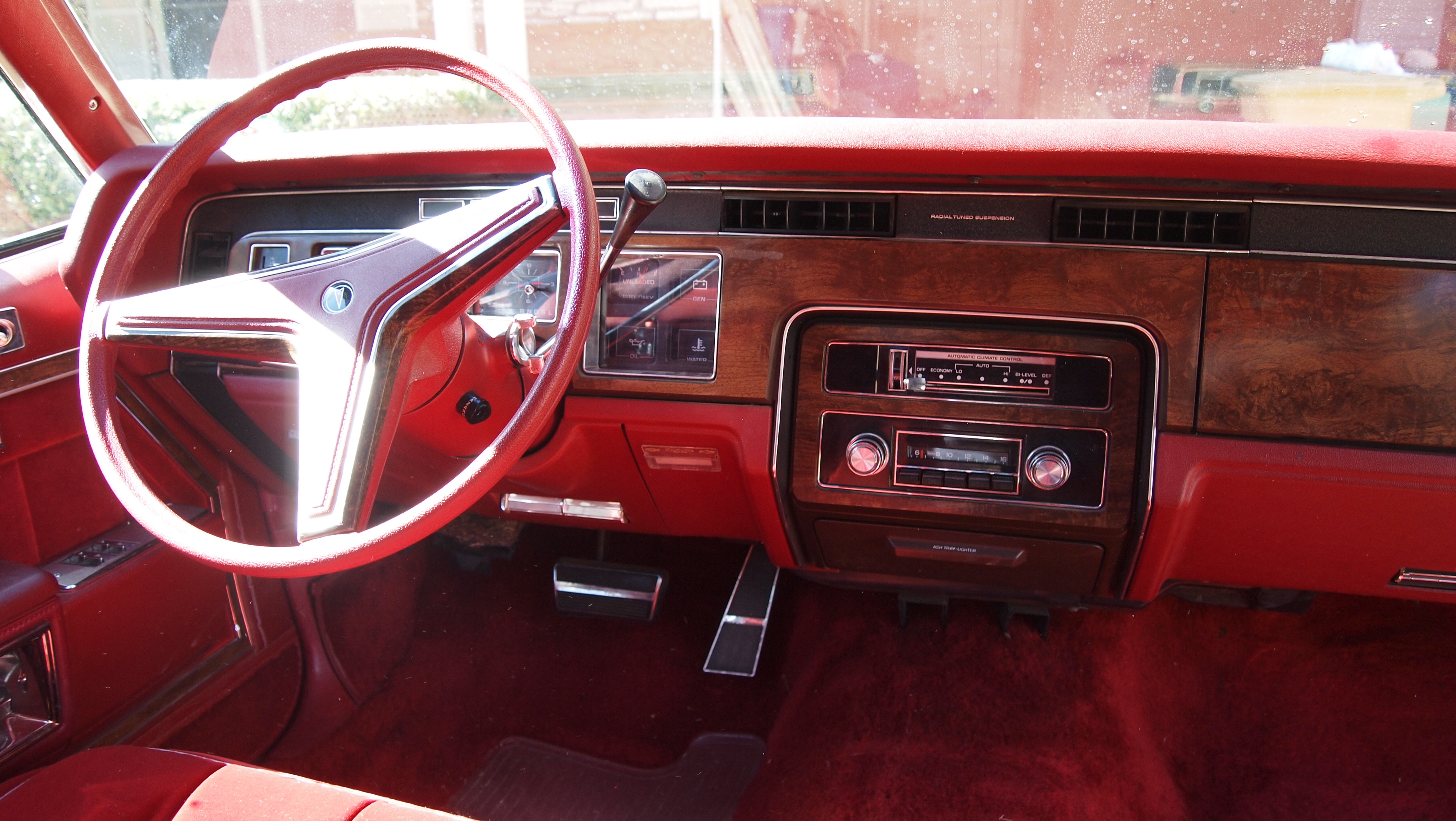 Pontiac Catalina 1979 #6
