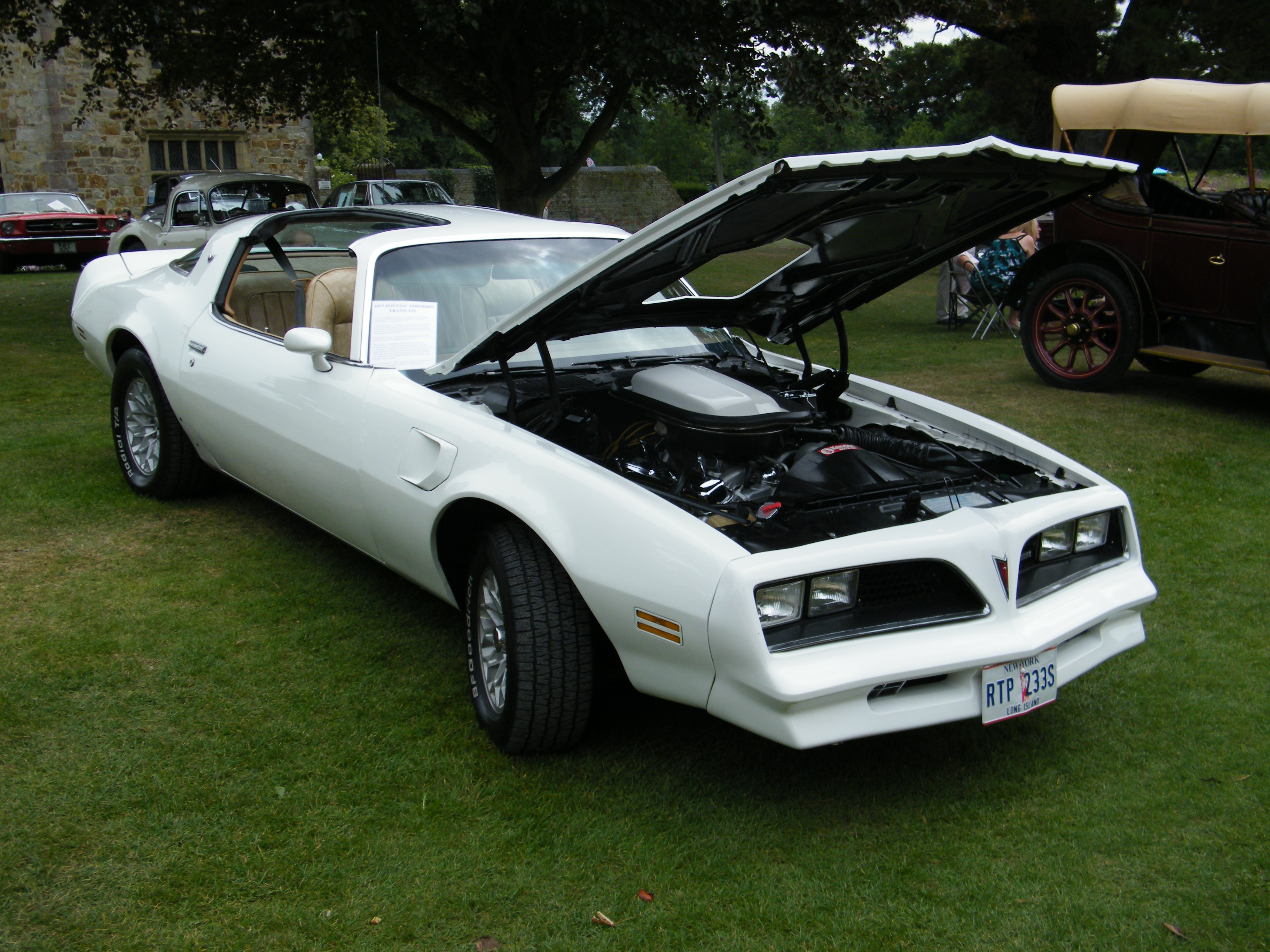 Pontiac Firebird 1977 #9