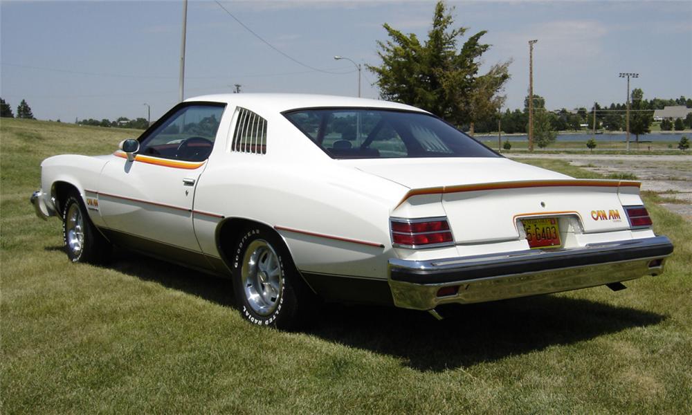 Pontiac LeMans 1977 #11
