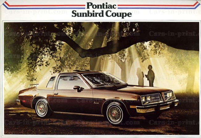Pontiac Sunbird 1979 #9