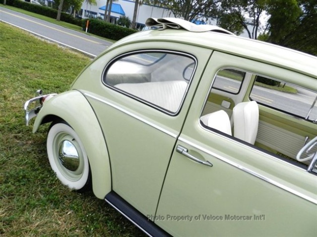 Volkswagen Beetle (Pre-1980) #13
