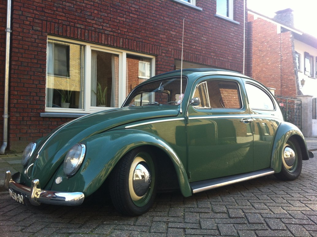 Volkswagen Beetle (Pre-1980) 1965 #10
