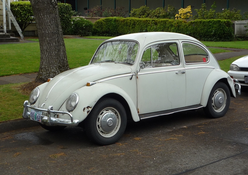 Volkswagen Beetle (Pre-1980) 1966 #9