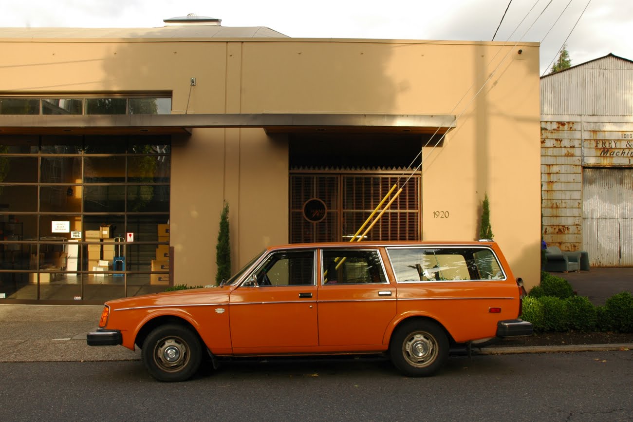 Volvo 245 1976 #12