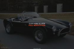 1965 Shelby Cobra #14