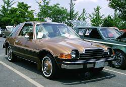 1979 Pacer #13