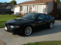 2000 Mustang #12