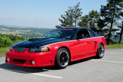2000 Mustang #13