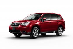 2014 Forester #12