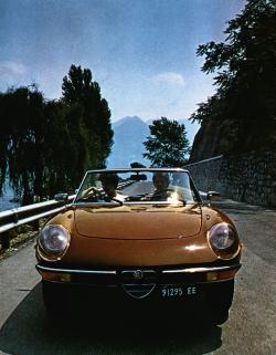 1981 Alfa Romeo Spider