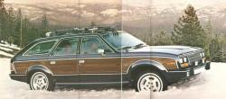 American Motors Eagle 50 1981 #14