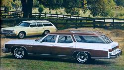 Buick Estate Wagon 1971 #6
