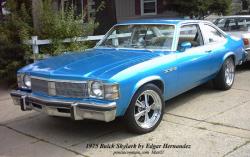 Buick Skylark 1975 #6