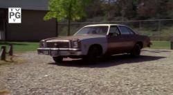 Chevrolet Chevelle 1973 #13