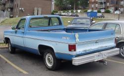 Chevrolet Pickup 1978 #13