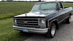 Chevrolet Pickup 1979 #13
