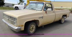 Chevrolet Pickup 1983 #12