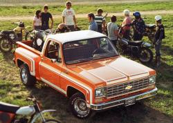 Chevrolet Stepside Pickup 1975 #9
