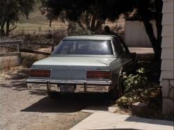 Dodge Diplomat 1977 #10