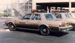 Dodge Diplomat 1984 #11